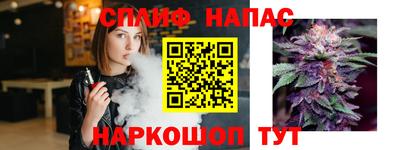 стафф Бийск