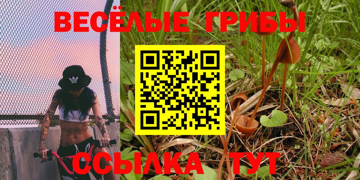 Псилоцибиновые грибы Magic Shrooms  наркота  Бийск  Вход с VPN 